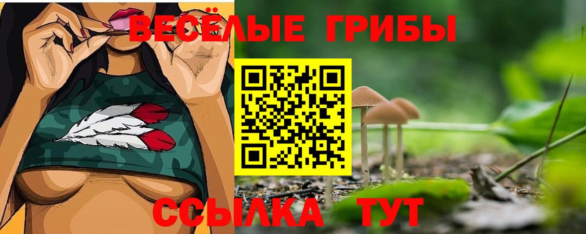 Галлюциногенные грибы мухоморы Керчь