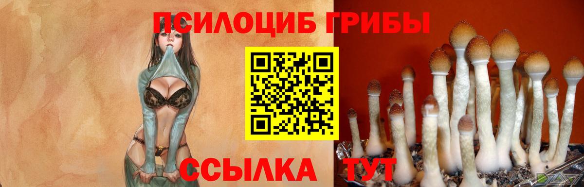 Керчь  Галлюциногенные грибы ЛСД  Вход с VPN 